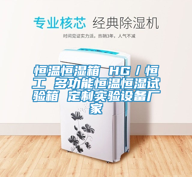 恒溫恒濕箱 HG／恒工 多功能恒溫恒濕試驗箱 定制實驗設備廠家