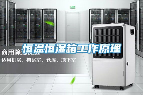 恒溫恒濕箱工作原理