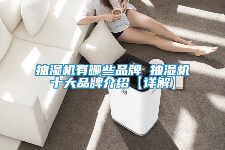 抽濕機有哪些品牌 抽濕機十大品牌介紹【詳解】