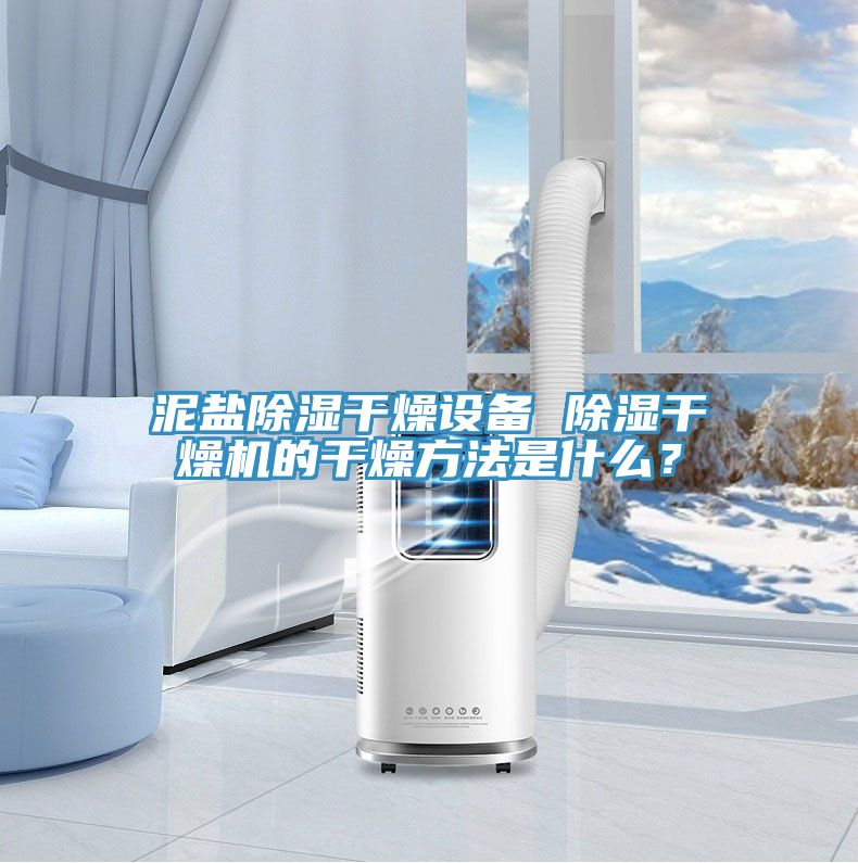 泥鹽除濕干燥設備 除濕干燥機的干燥方法是什么？