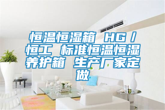 恒溫恒濕箱 HG／恒工 標準恒溫恒濕養護箱 生產廠家定做