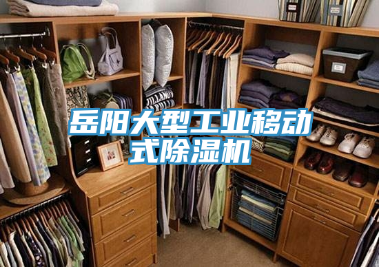 岳陽大型工業移動式除濕機