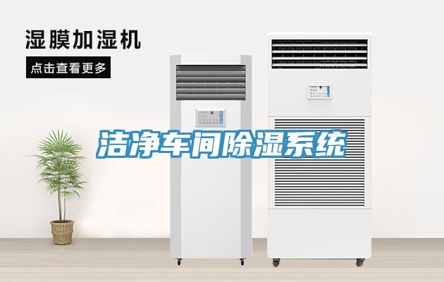 潔凈車間除濕系統