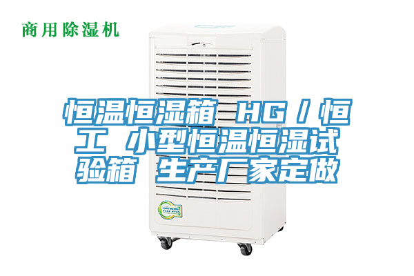 恒溫恒濕箱 HG／恒工 小型恒溫恒濕試驗箱 生產廠家定做