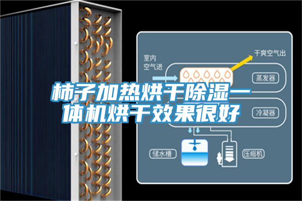 柿子加熱烘干除濕一體機烘干效果很好
