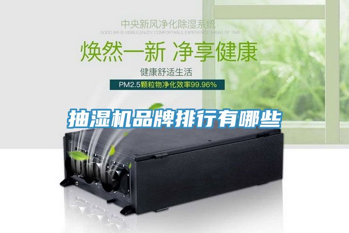 抽濕機(jī)品牌排行有哪些