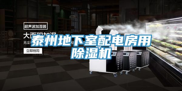 泰州地下室配電房用除濕機(jī)