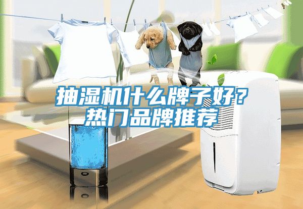 抽濕機什么牌子好？熱門品牌推薦
