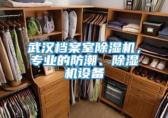 武漢檔案室除濕機，專業(yè)的防潮、除濕機設(shè)備