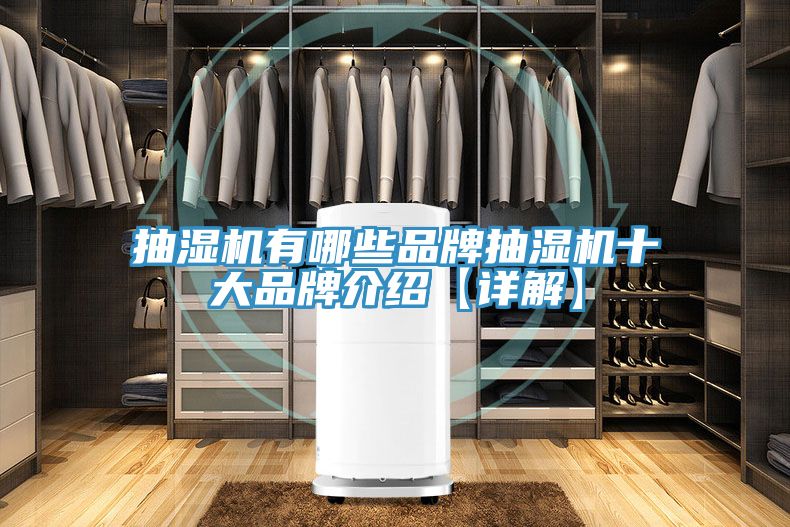 抽濕機有哪些品牌抽濕機十大品牌介紹【詳解】
