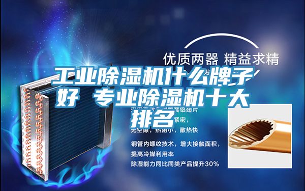 工業除濕機什么牌子好 專業除濕機十大排名