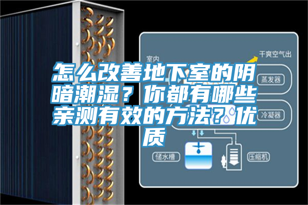 怎么改善地下室的陰暗潮濕？你都有哪些親測(cè)有效的方法？?jī)?yōu)質(zhì)