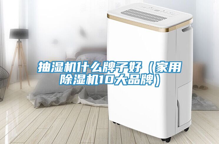 抽濕機什么牌子好(家用除濕機10大品牌)