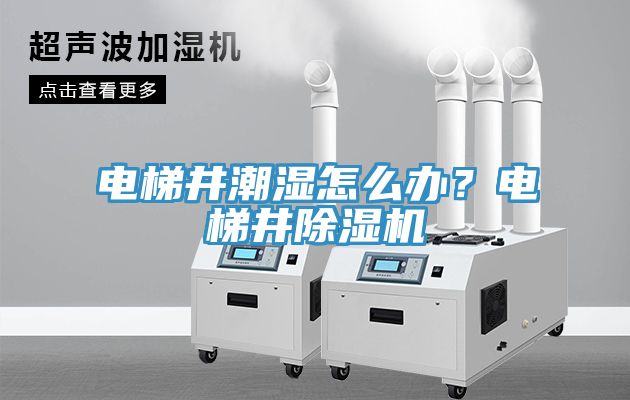 電梯井潮濕怎么辦?電梯井除濕機(jī)