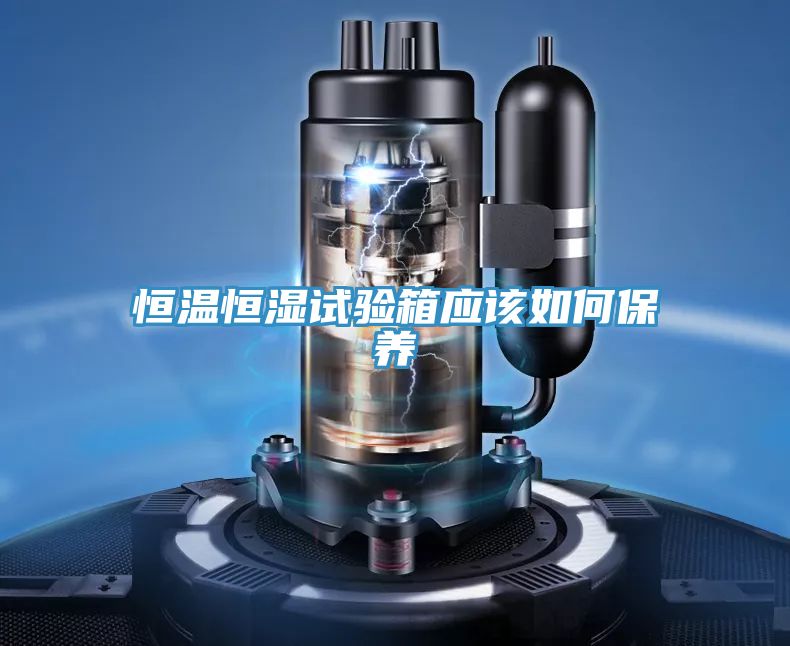 恒溫恒濕試驗箱應該如何保養
