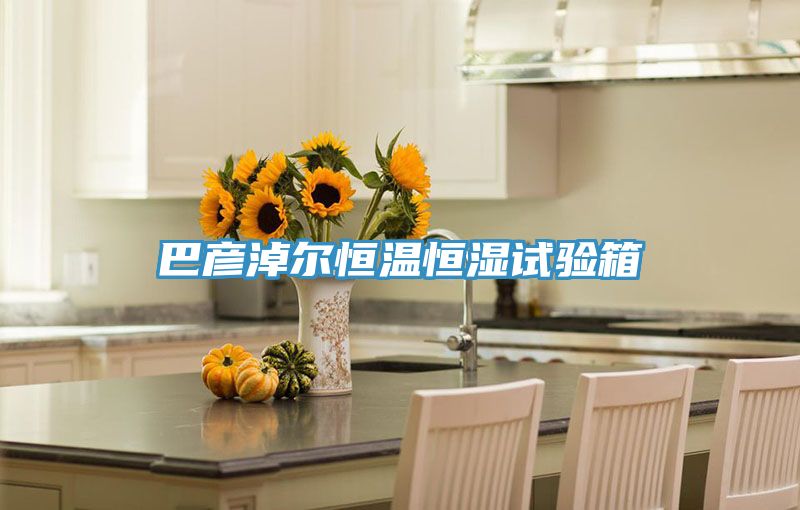 巴彥淖爾恒溫恒濕試驗箱