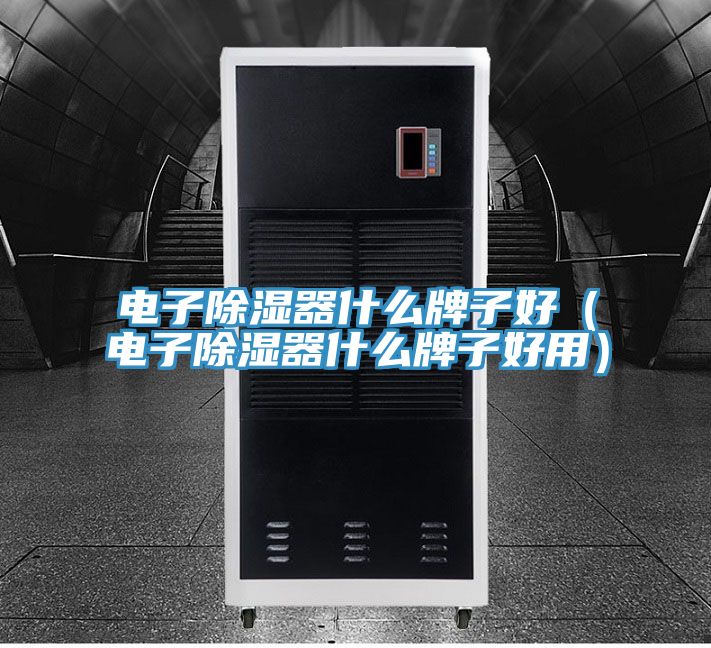 電子除濕器什么牌子好(電子除濕器什么牌子好用)