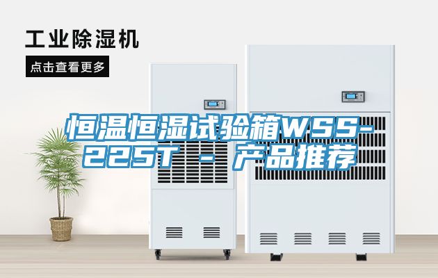 恒溫恒濕試驗箱WSS-225T - 產品推薦