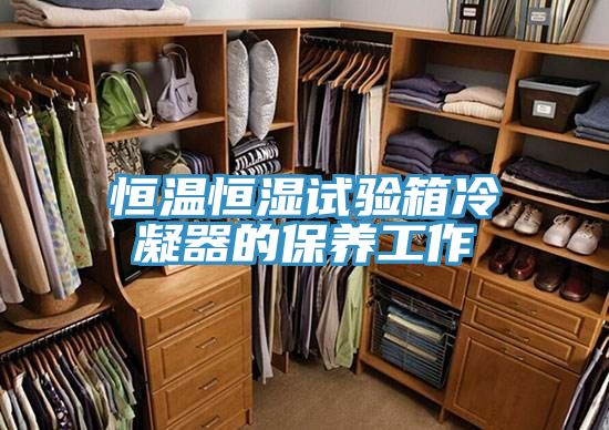 恒溫恒濕試驗(yàn)箱冷凝器的保養(yǎng)工作