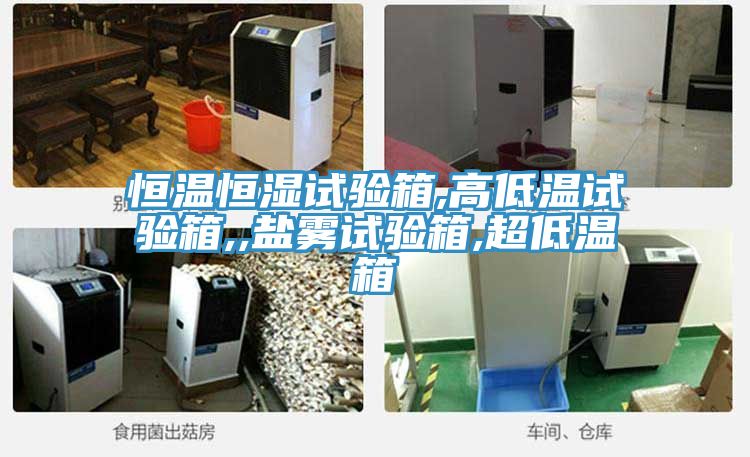 恒溫恒濕試驗箱,高低溫試驗箱,,鹽霧試驗箱,超低溫箱