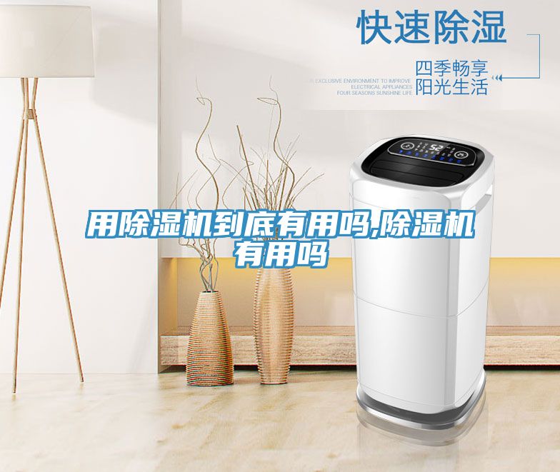 用除濕機到底有用嗎,除濕機有用嗎