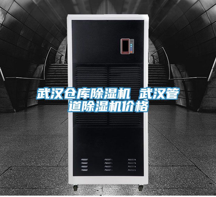 武漢倉庫除濕機(jī) 武漢管道除濕機(jī)價(jià)格