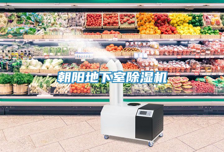 朝陽(yáng)地下室除濕機(jī)