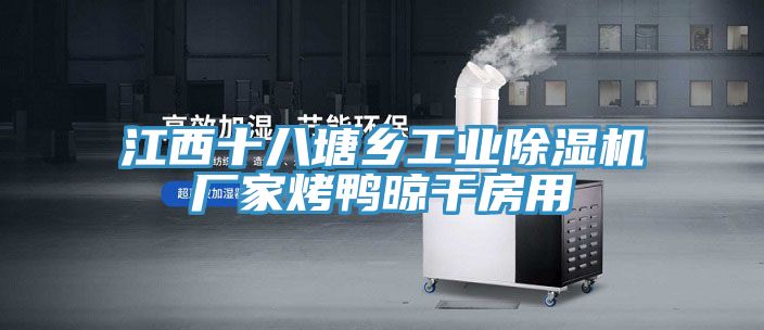 江西十八塘鄉工業除濕機廠家烤鴨晾干房用