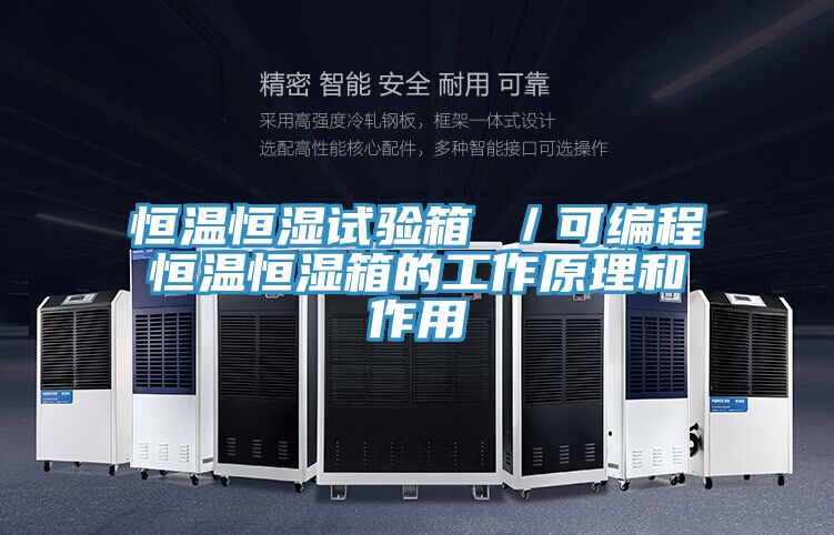 恒溫恒濕試驗箱 ／可編程恒溫恒濕箱的工作原理和作用