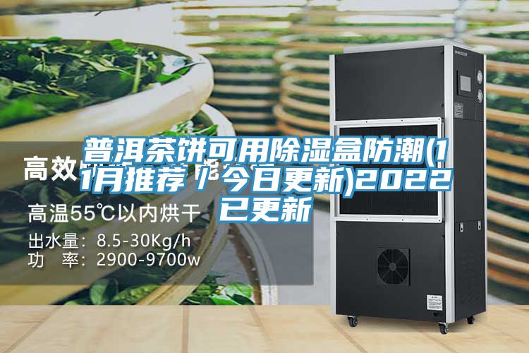 普洱茶餅可用除濕盒防潮(11月推薦/今日更新)2022已更新