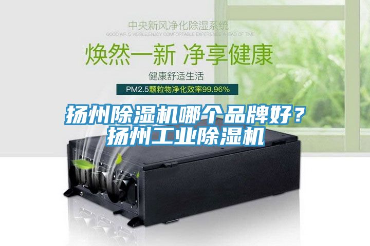 揚州除濕機哪個品牌好？揚州工業除濕機