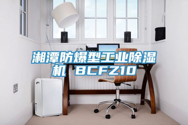 湘潭防爆型工業除濕機 BCFZ10