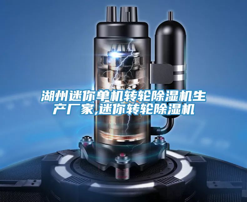 湖州迷你單機轉輪除濕機生產廠家,迷你轉輪除濕機