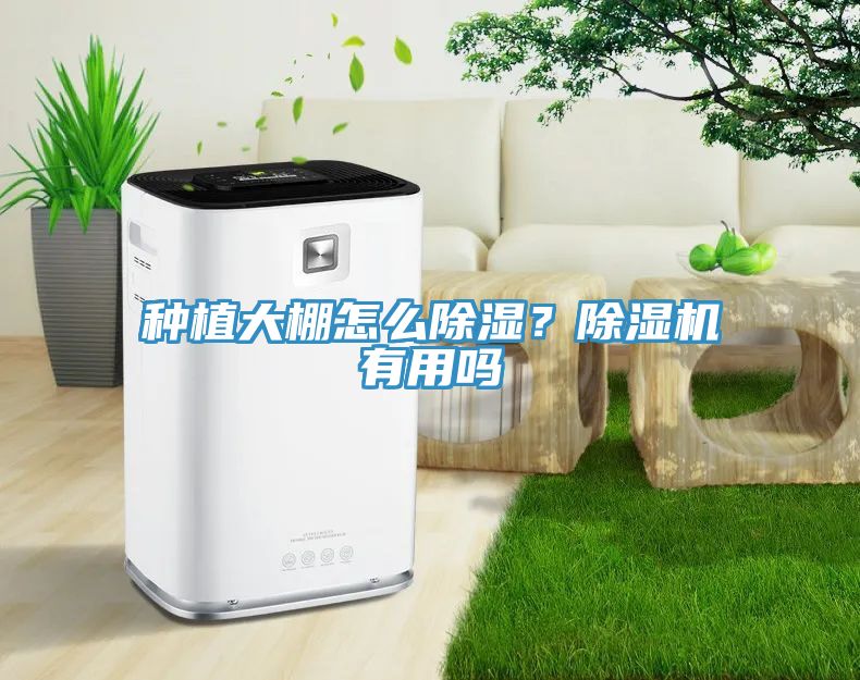 種植大棚怎么除濕？除濕機有用嗎