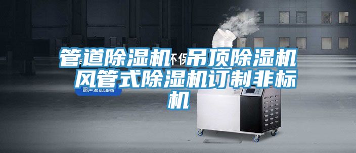 管道除濕機 吊頂除濕機 風管式除濕機訂制非標機