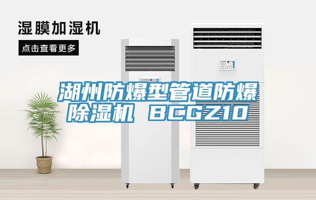 湖州防爆型管道防爆除濕機 BCGZ10