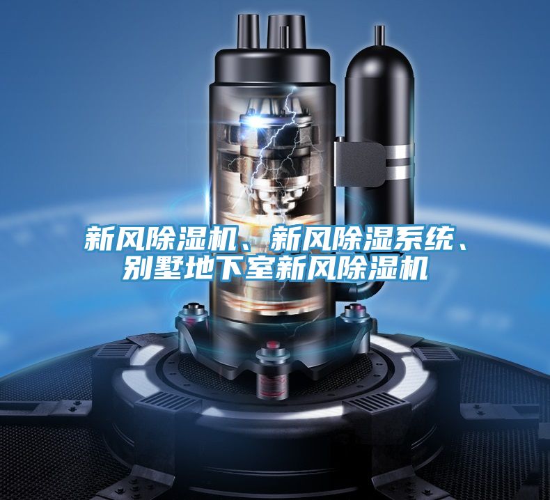 新風除濕機、新風除濕系統、別墅地下室新風除濕機