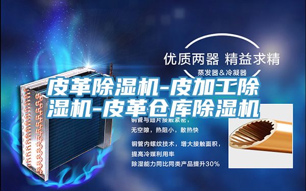 皮革除濕機-皮加工除濕機-皮革倉庫除濕機