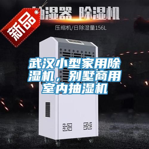 武漢小型家用除濕機,別墅商用室內(nèi)抽濕機