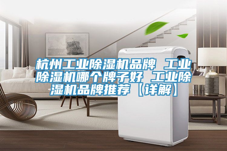 杭州工業除濕機品牌 工業除濕機哪個牌子好 工業除濕機品牌推薦【詳解】