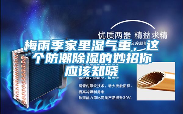 梅雨季家里濕氣重，這個防潮除濕的妙招你應該知曉