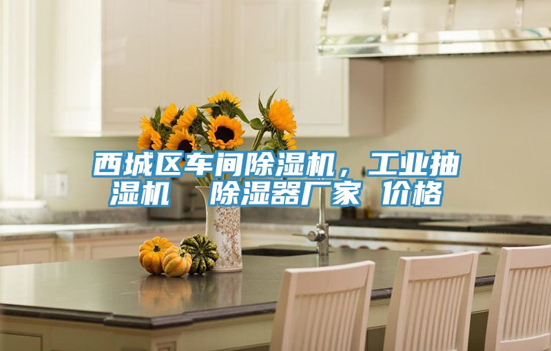 西城區車間除濕機，工業抽濕機  除濕器廠家 價格
