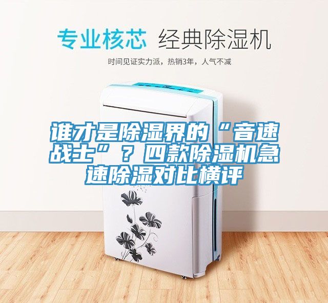 誰才是除濕界的“音速戰(zhàn)士”?四款除濕機急速除濕對比橫評