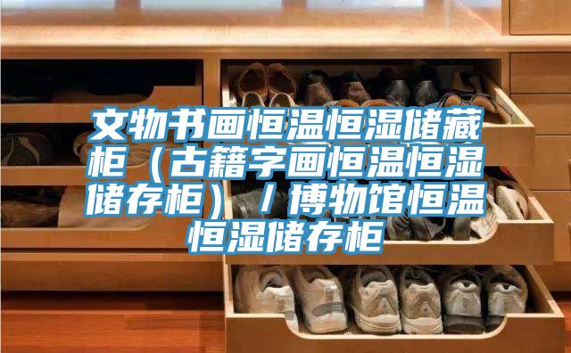文物書畫恒溫恒濕儲藏柜(古籍字畫恒溫恒濕儲存柜)/博物館恒溫恒濕儲存柜