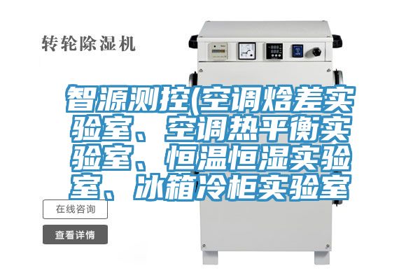 智源測控(空調(diào)焓差實驗室、空調(diào)熱平衡實驗室、恒溫恒濕實驗室、冰箱冷柜實驗室