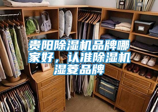 貴陽(yáng)除濕機(jī)品牌哪家好，認(rèn)準(zhǔn)除濕機(jī)濕菱品牌