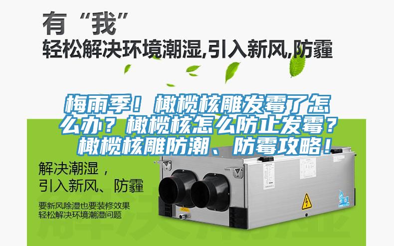 梅雨季！橄欖核雕發(fā)霉了怎么辦？橄欖核怎么防止發(fā)霉？ 橄欖核雕防潮、防霉攻略！