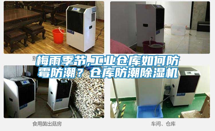 梅雨季節(jié),工業(yè)倉庫如何防霉防潮？倉庫防潮除濕機