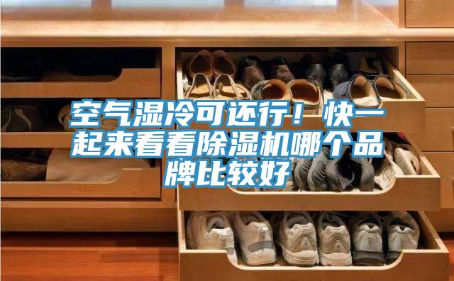 空氣濕冷可還行!快一起來看看除濕機哪個品牌比較好
