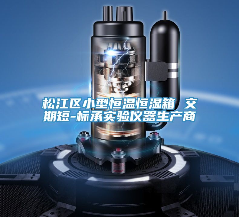 松江區小型恒溫恒濕箱 交期短-標承實驗儀器生產商